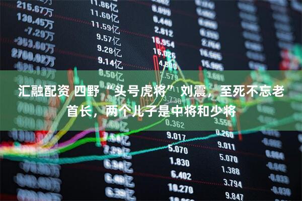 汇融配资 四野 “头号虎将” 刘震，至死不忘老首长，两个儿子是中将和少将