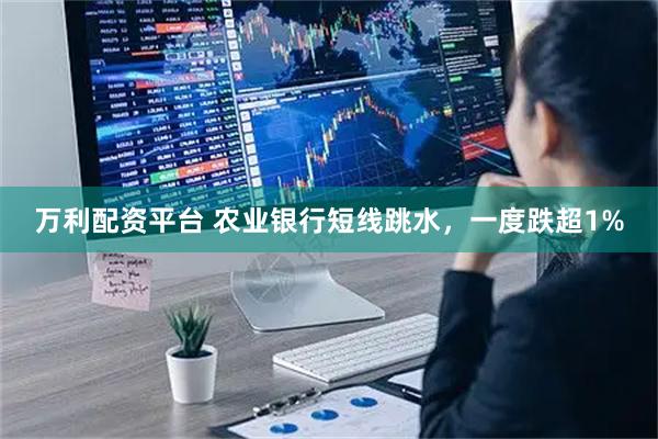 万利配资平台 农业银行短线跳水，一度跌超1%