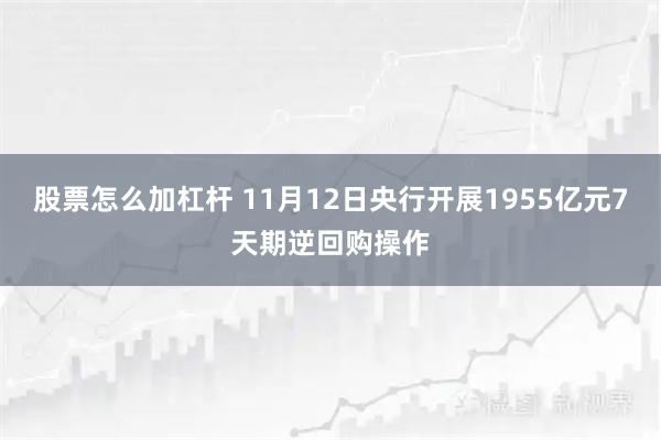 股票怎么加杠杆 11月12日央行开展1955亿元7天期逆回购操作