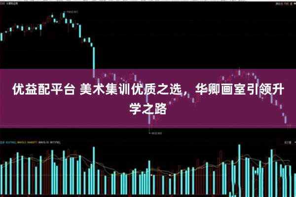 优益配平台 美术集训优质之选，华卿画室引领升学之路