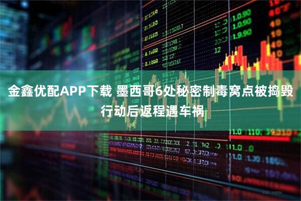 金鑫优配APP下载 墨西哥6处秘密制毒窝点被捣毁 行动后返程遇车祸